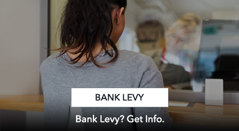 Bank Levy